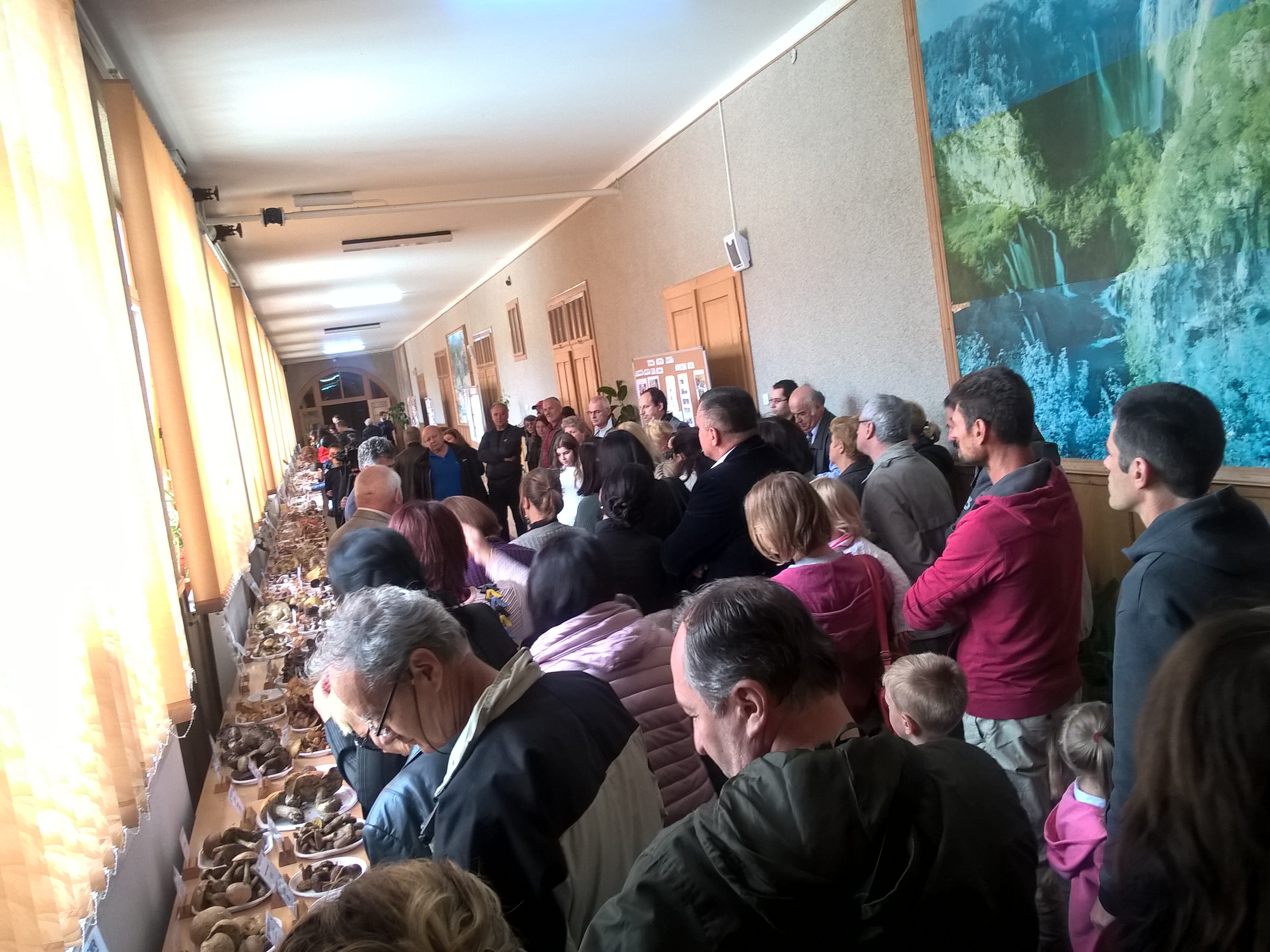 Tabăra micologică, Ediția a III-a, 20-23 septembrie 2018, Poiana Negri – Județul Suceava